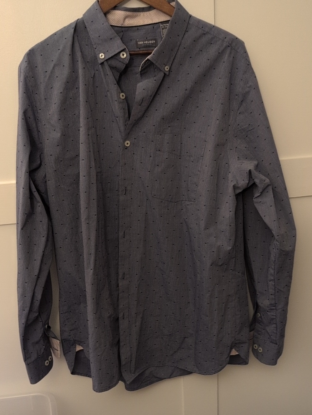 Van Heusen Blue Dotted Button-Down Shirt